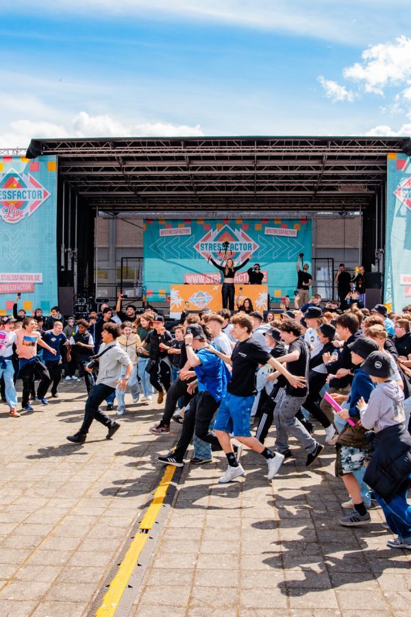 Stressfactor festival organiseren